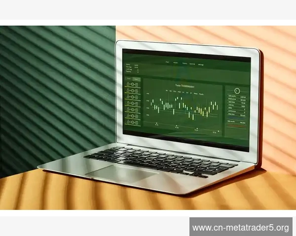 MetaTrader 5声音提醒功能失效排查修复方法