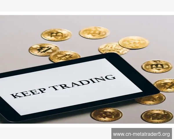 MetaTrader 5 EA策略文件加密保护防止他人盗用核心交易策略代码