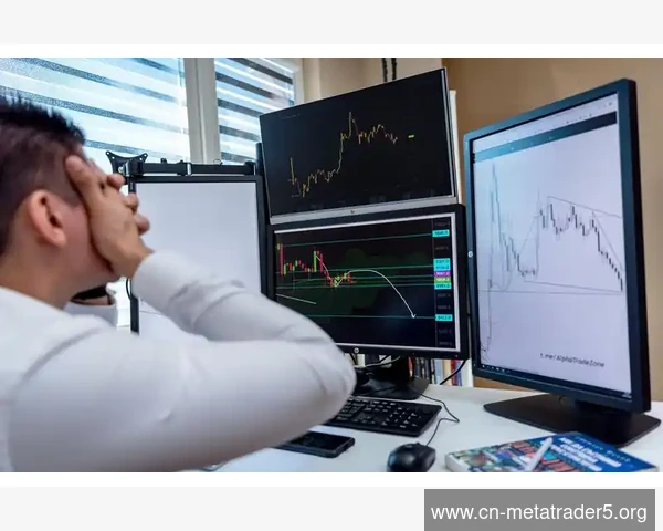 应对MetaTrader 5数据中心下载中断的断点续传操作
