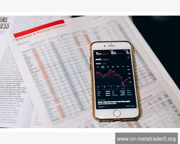 MetaTrader 5登录记住密码功能安全使用提示