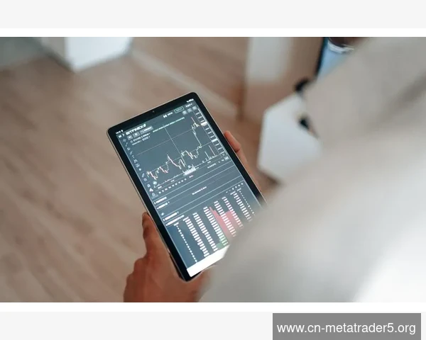 MetaTrader 5登录界面多余账户信息删除清理
