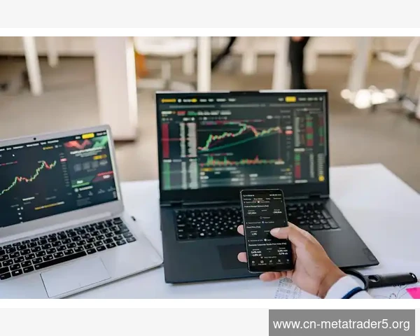 优化MetaTrader 5结果报告中最大回撤与恢复因子解读